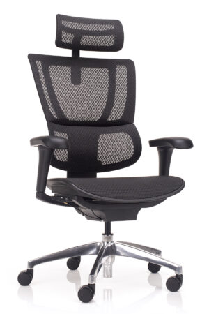 IOO ERGONOMSKI STOL POZER
