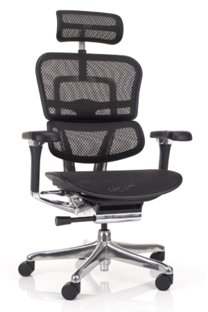 ergonomski stol ergohuman luxury