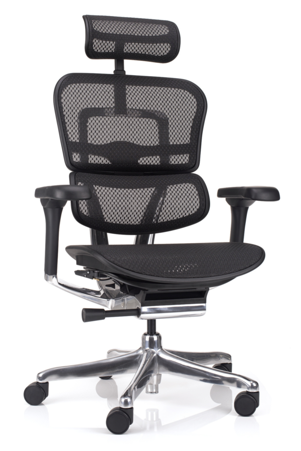 ergonomski stol ergohuman elite