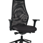 Dynamic XL
