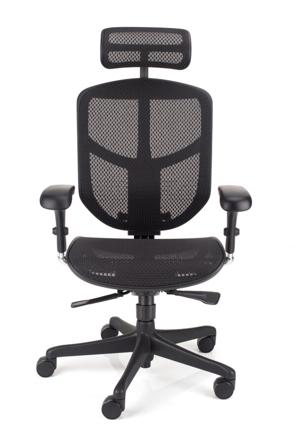 Ergonomski pisarniski stol enjoy v2.0 v crni mrezi