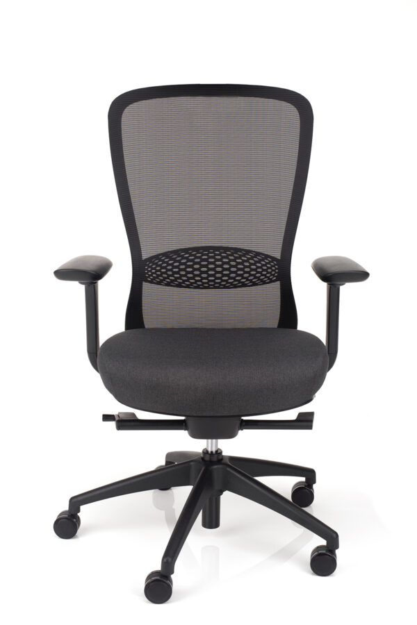 Ergonomski pisarniski stol Aeroflex Fx crne barve brez vzglavnika