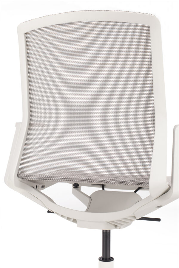 hrbet v mrezi stola cynara