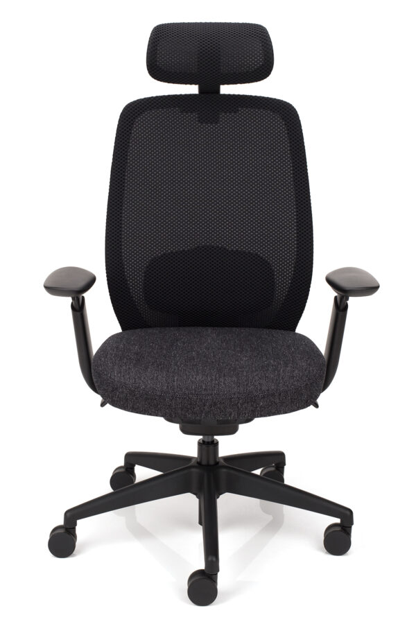 Sodoben ergonomski stol Bloom 1